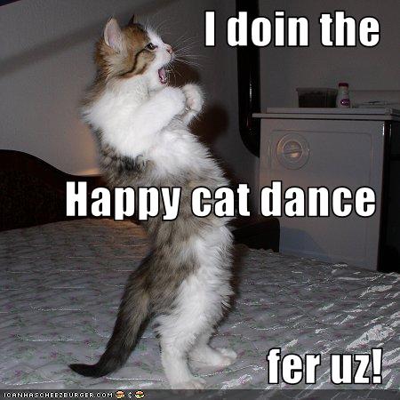 Image - Happy cat dance.jpg | Animal Jam Clans Wiki | FANDOM powered by ...