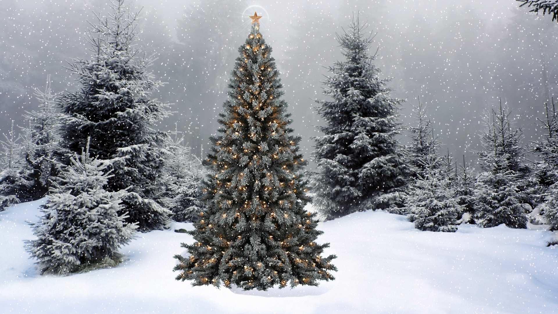 image snow falling on the christmas tree 50819 1920x1080 jpg