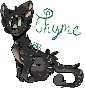 Thyme