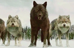 latest?cb=20170530112650