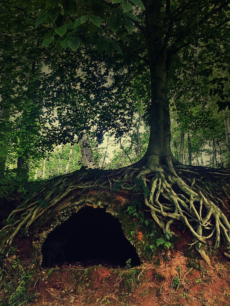 latest?cb=20161202215713