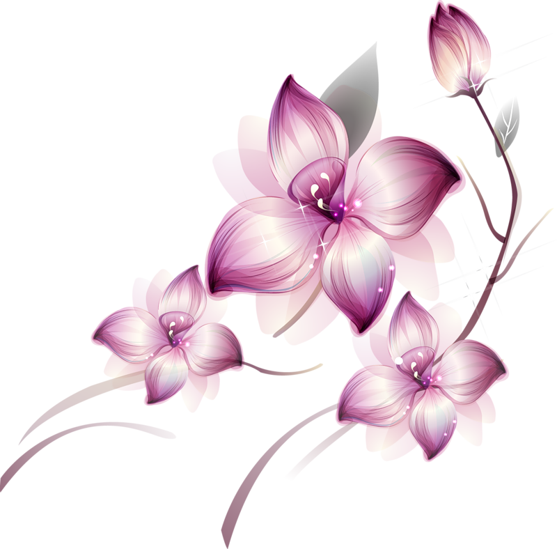 Image Painted Transparent  Large Pink Flower Clipsrt png  