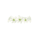 Image - White lily flower crown.png | Animal Jam Clans Wiki | FANDOM