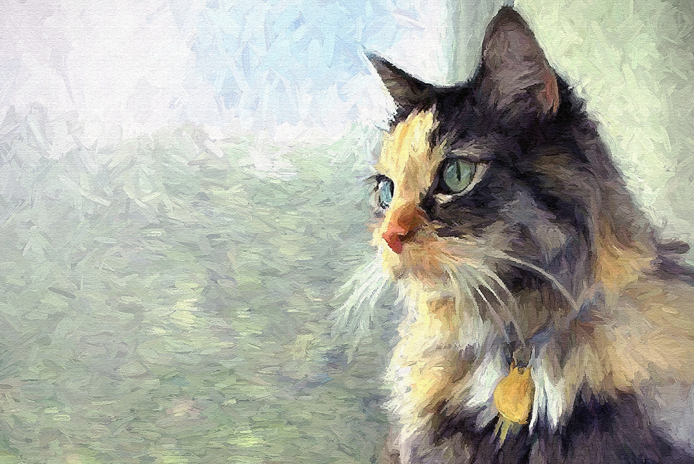 Resultado de imagem para painting cat