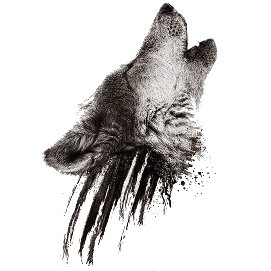 Image - Realistic howling wolf head on black smudges ...