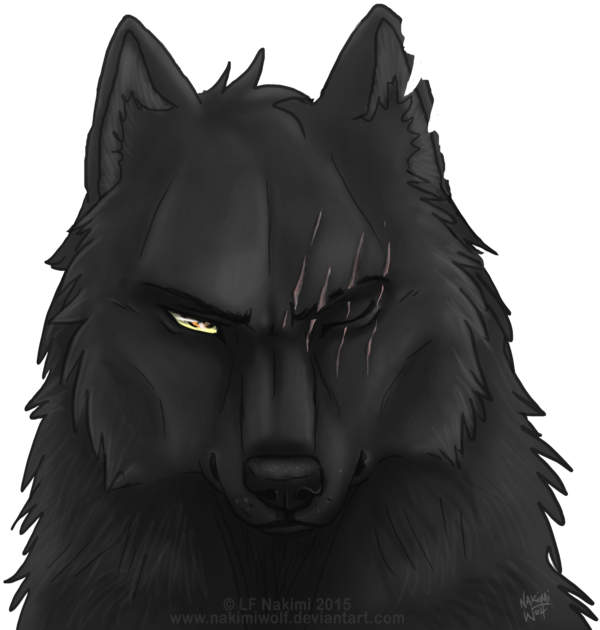 Image - Black wolf aaron by nakssxsimiwolf-d9b8m19.png | Animal Jam ...