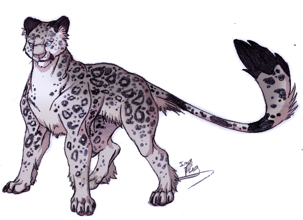 Image - Snow leopard by izishjdnaefer-d4sw5o2.png | Animal Jam Clans