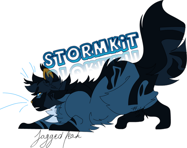 File:Stormkit.png