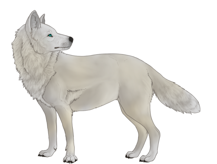 Image - White wolf bg.png | Animal Jam Clans Wiki | FANDOM ...