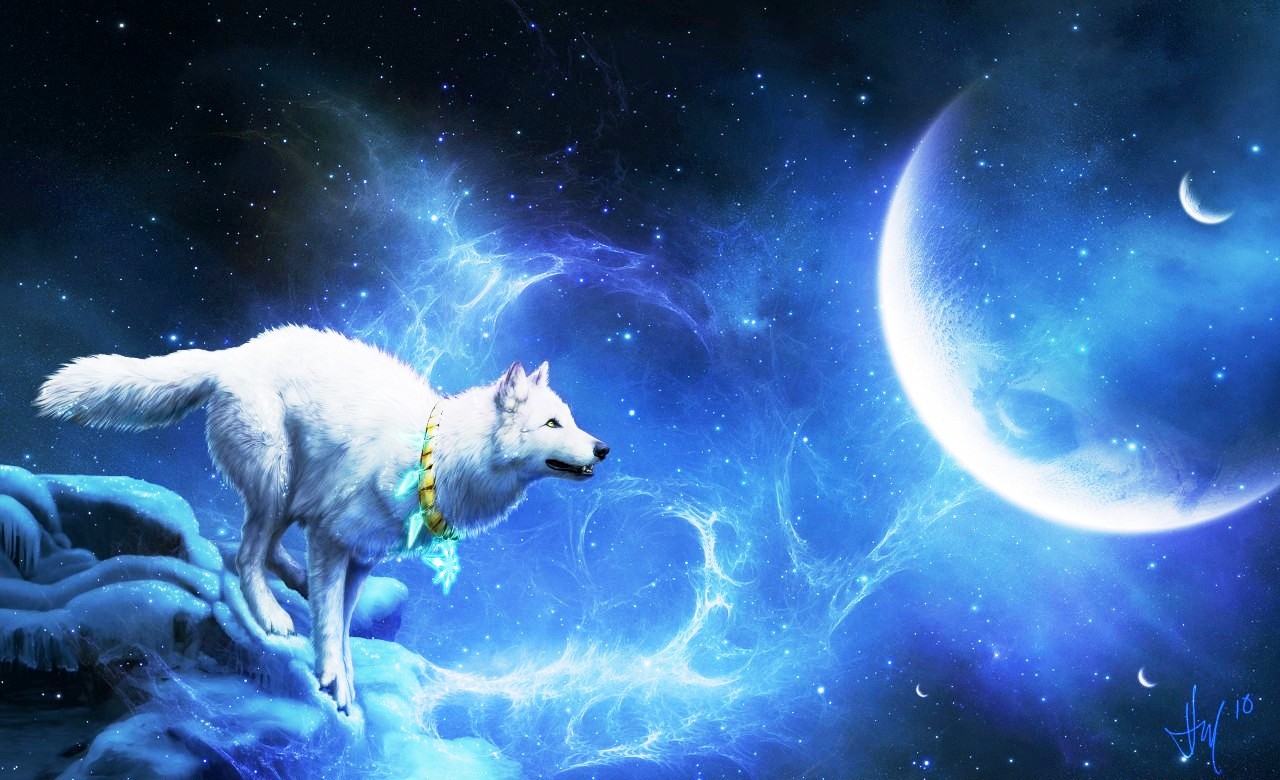 Image - White-wolf-and-blue-moon.jpg | Animal Jam Clans Wiki | FANDOM ...