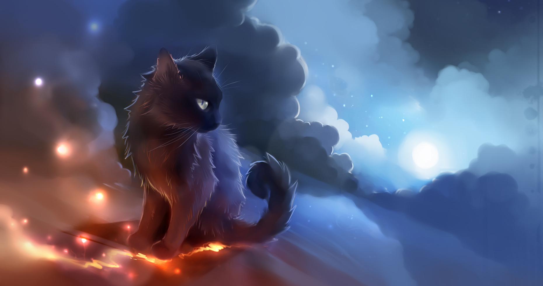 cool warrior cat wallpapers