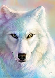 Wolf-1466426260