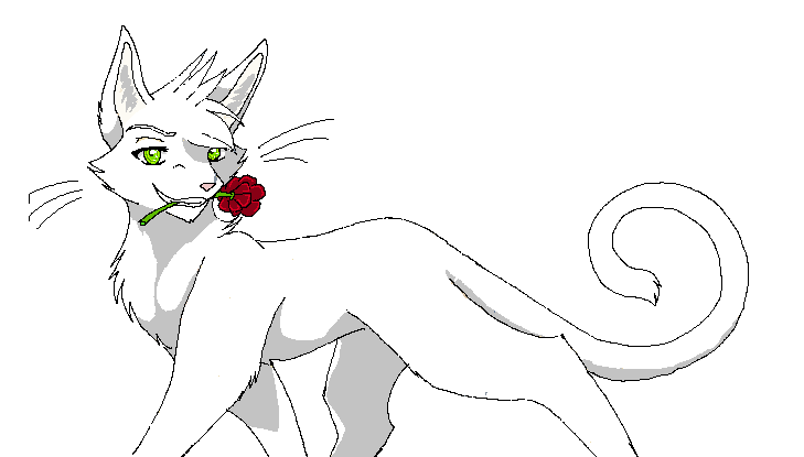 Dead White Cat Omen Dead White Cat Omen