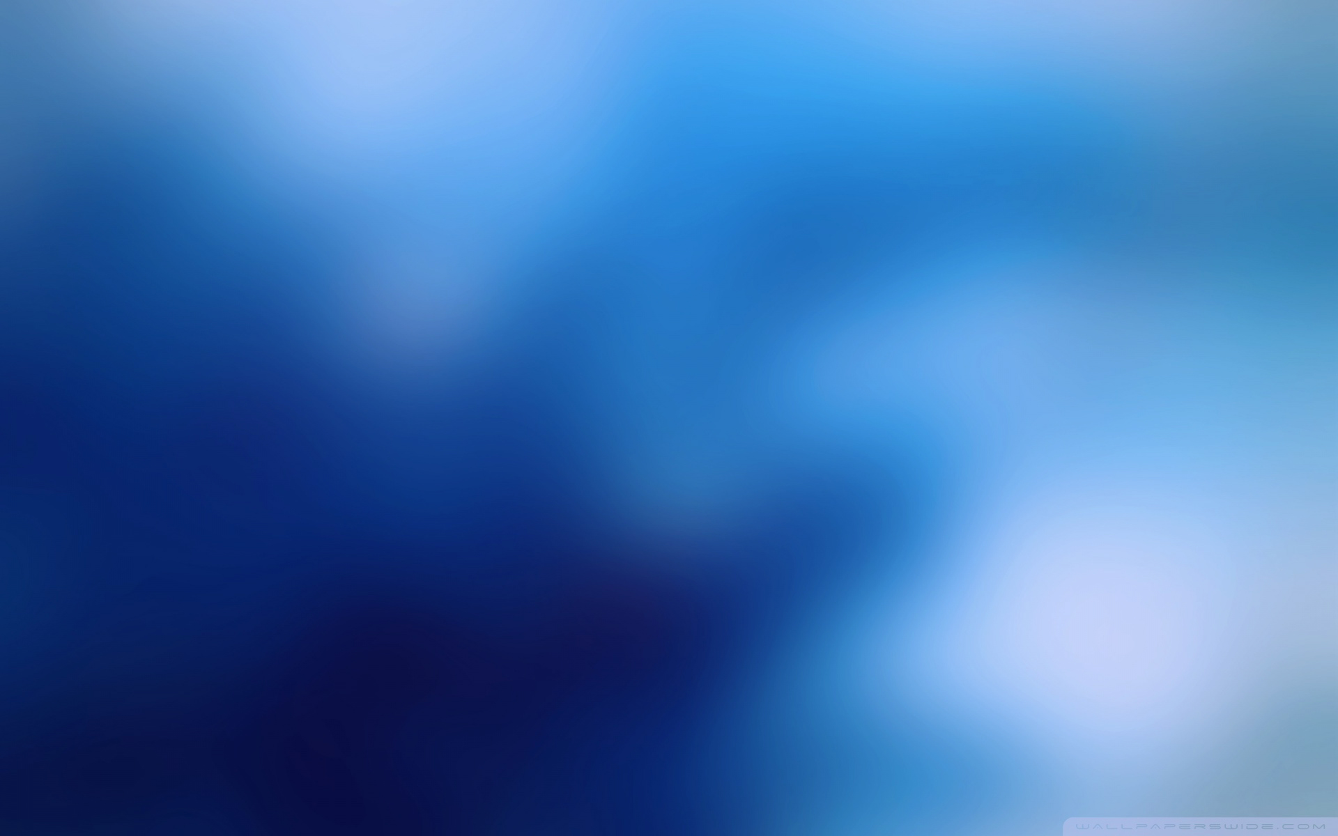 Image Blurry Blue Background Wallpaper 1920x12001jpg Animal