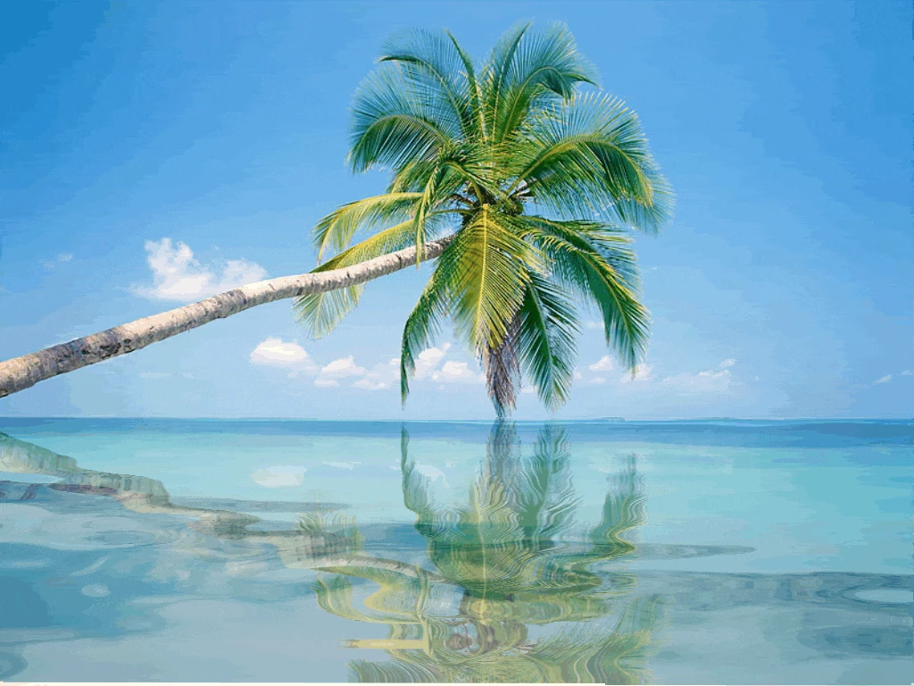 Image Palm tree gif.gif Animal Jam Clans Wiki FANDOM powered by Wikia