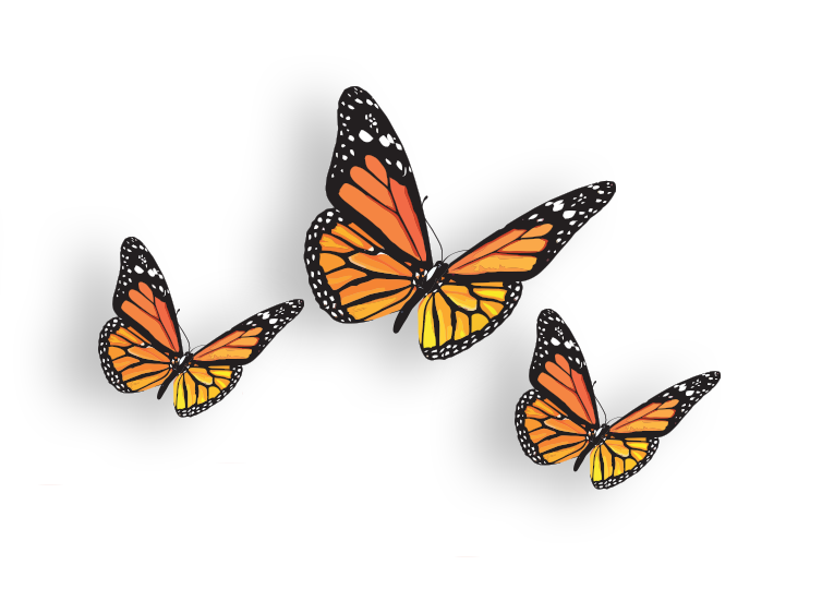 Free Free 166 Butterfly Group Svg SVG PNG EPS DXF File