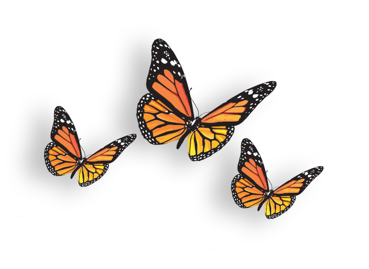 Free Free Butterfly Group Svg 762 SVG PNG EPS DXF File