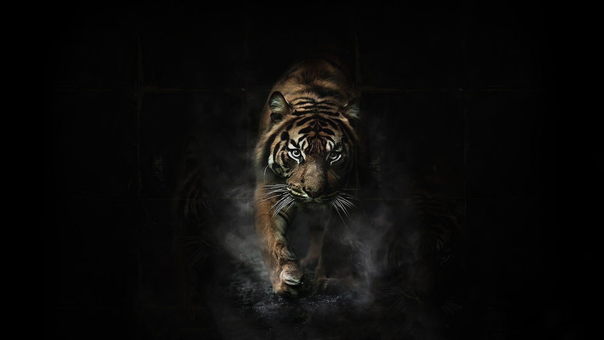 Image - Wallpapersxl Angry Tiger Hd 236107 1920x1080.jpg | Animal Jam