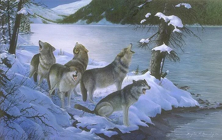 image-painting-gray-wolf-pack-howling-by-jpg-animal-jam-clans-wiki