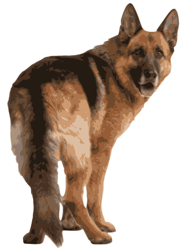 Image - German-shepherd-free-clip-art-images-pictures-becuo-pSKZlA