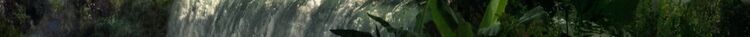SpringClan Banner Strip