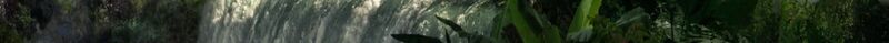 SpringClan Banner Strip