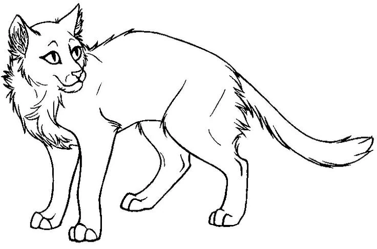 Image - Warrior-cats-coloring-pages 23316.jpg | Animal Jam ...