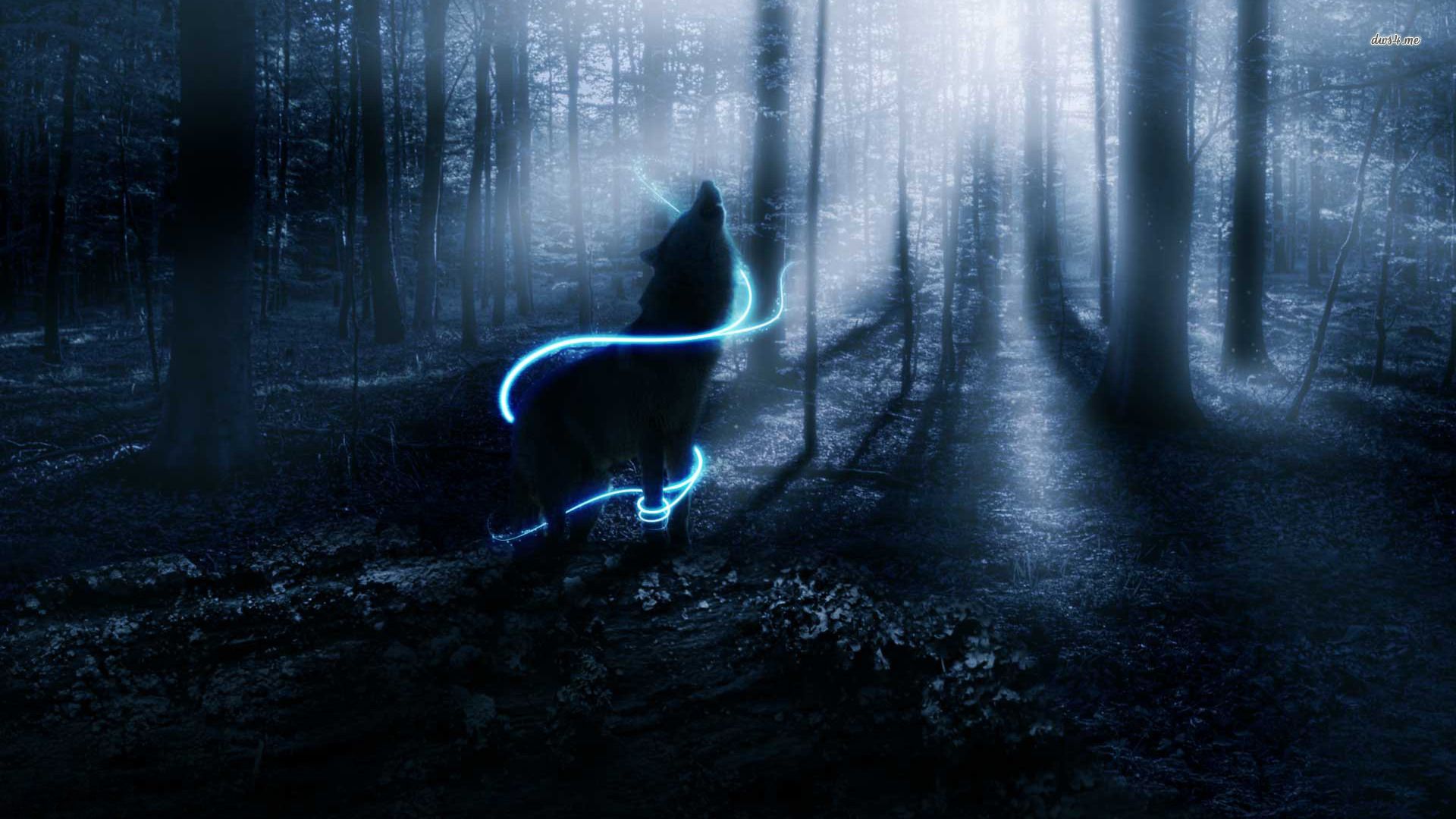 image wolves wallpaper 26 jpg animal jam clans wiki fandom