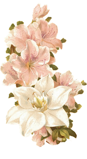 Image - Flowerssssss.png | Animal Jam Clans Wiki | FANDOM powered by Wikia