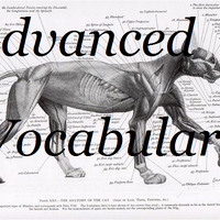 Advanced Vocabulary Animal Groups Roleplay Wiki Fandom
