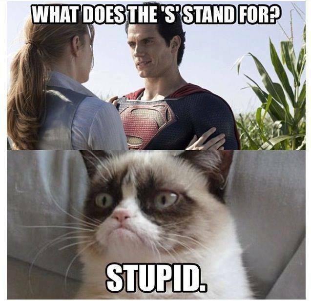 Cat Humor #5