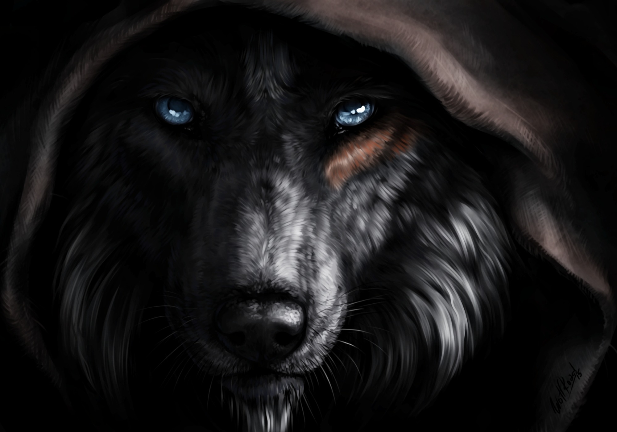 Image - Silence digital brown fantasy wolf hood art hd-wallpaper-2031022.jpg | Animal Jam Clans ...
