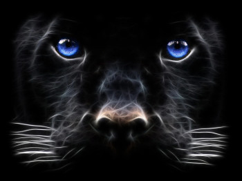 Filebackgrounds Windows 7 Black Panther Big Cat Filebackgrounds Windows 7 Black Panther Big Cat