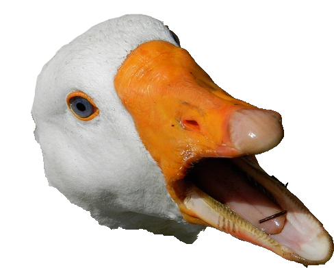 Креативная утка. Голова гуся. Гусиные губы. Лицо утки. Лицо утки.