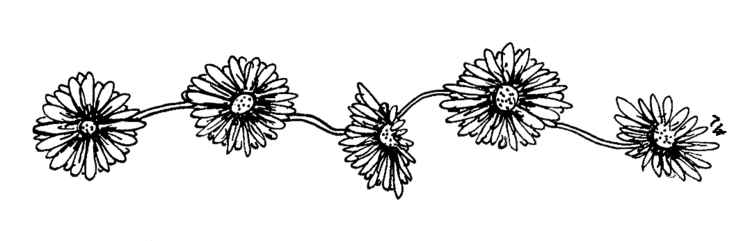 Image - Black-and-white-flowers-tumblr-transparent-12.png | Animal Jam