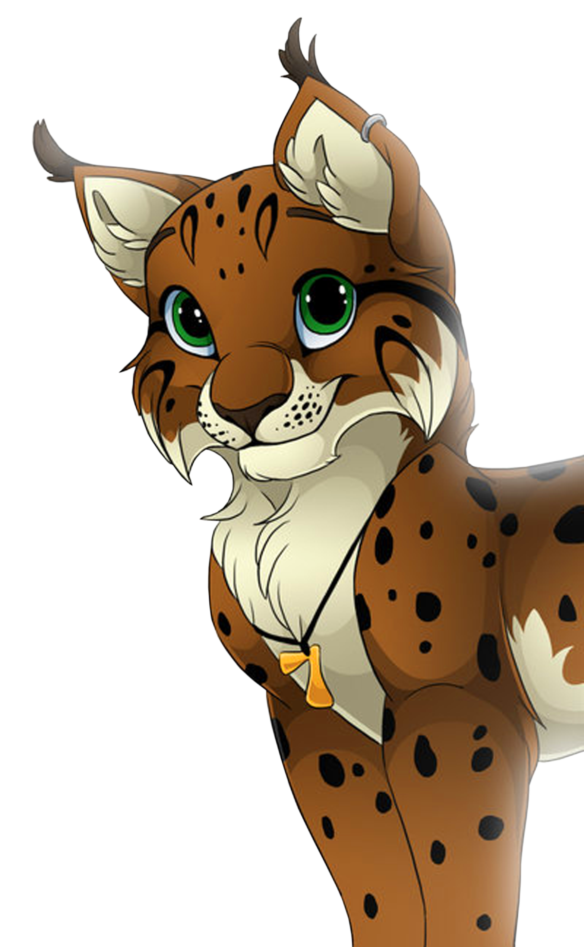 Image Rikupng Animal Jam Clans Wiki Fandom Powered By Wikia