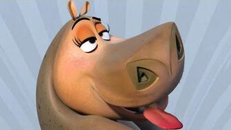 Suffer Animal Groups Roleplay Wiki Fandom