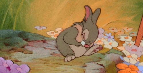 Кролик стучит лапой. Заяц из Бэмби. Заяц из мультфильма Бэмби. Кролик из Бэмби. Заяц стучит лапами.