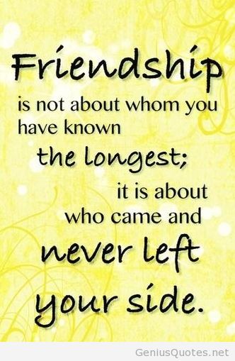 Images With Quotes About Friendship Interesting Image Friendshipquoteimagewallpaper Animal Jam Clans Images With Quotes About Friendship Endearing Image Friendshipquoteimagewallpaper Animal Jam Clans