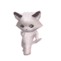 Dancy cat