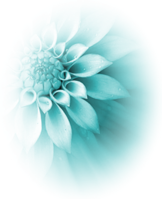 Image - Turquoise-flower-psd78764.png | Animal Jam Clans Wiki | FANDOM