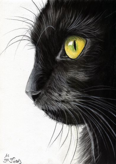 image 7630eb58bef258dc515a075151e9f491 black cat drawing kitty