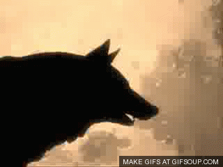 latest?cb=20171202222734