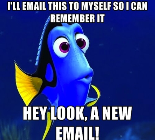 Image The best funny pictures of finding dory meme email Image The best funny pictures of finding dory meme email
