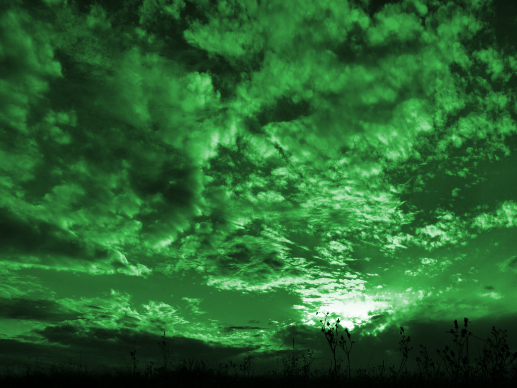 image green skies jpg animal jam clans wiki fandom powered by