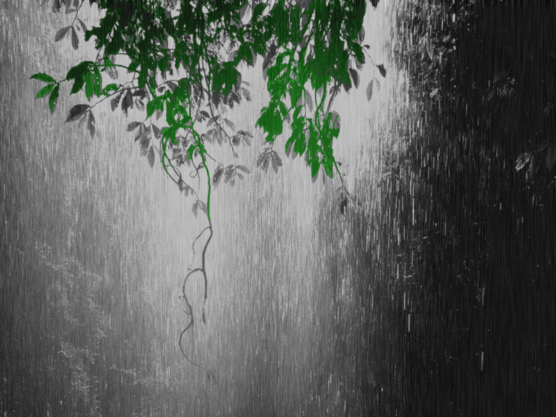 image animated rain falling backgrounds wallpaper 4 gif animal