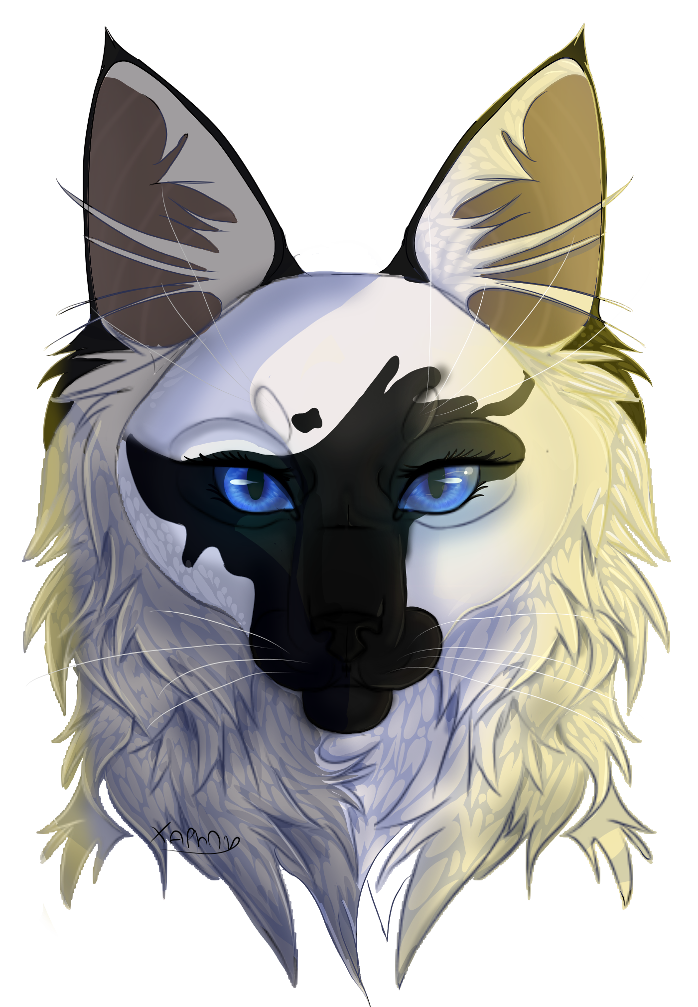 User Animal Jam Clans Wiki