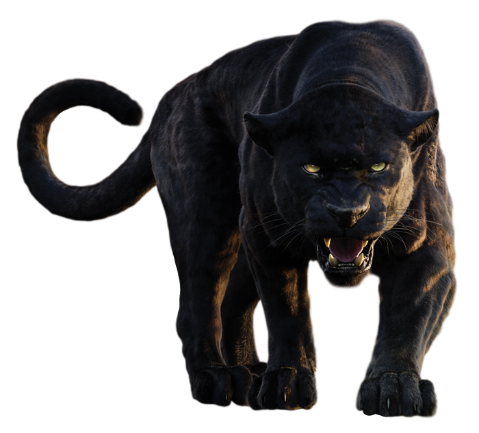 Image - Disney s bagheera transparent background by camo flauge-dajkvh4