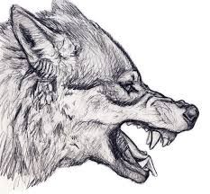 image 628cc7544a8c904406fa0325aabf19ae wolf head tattoo wolf head