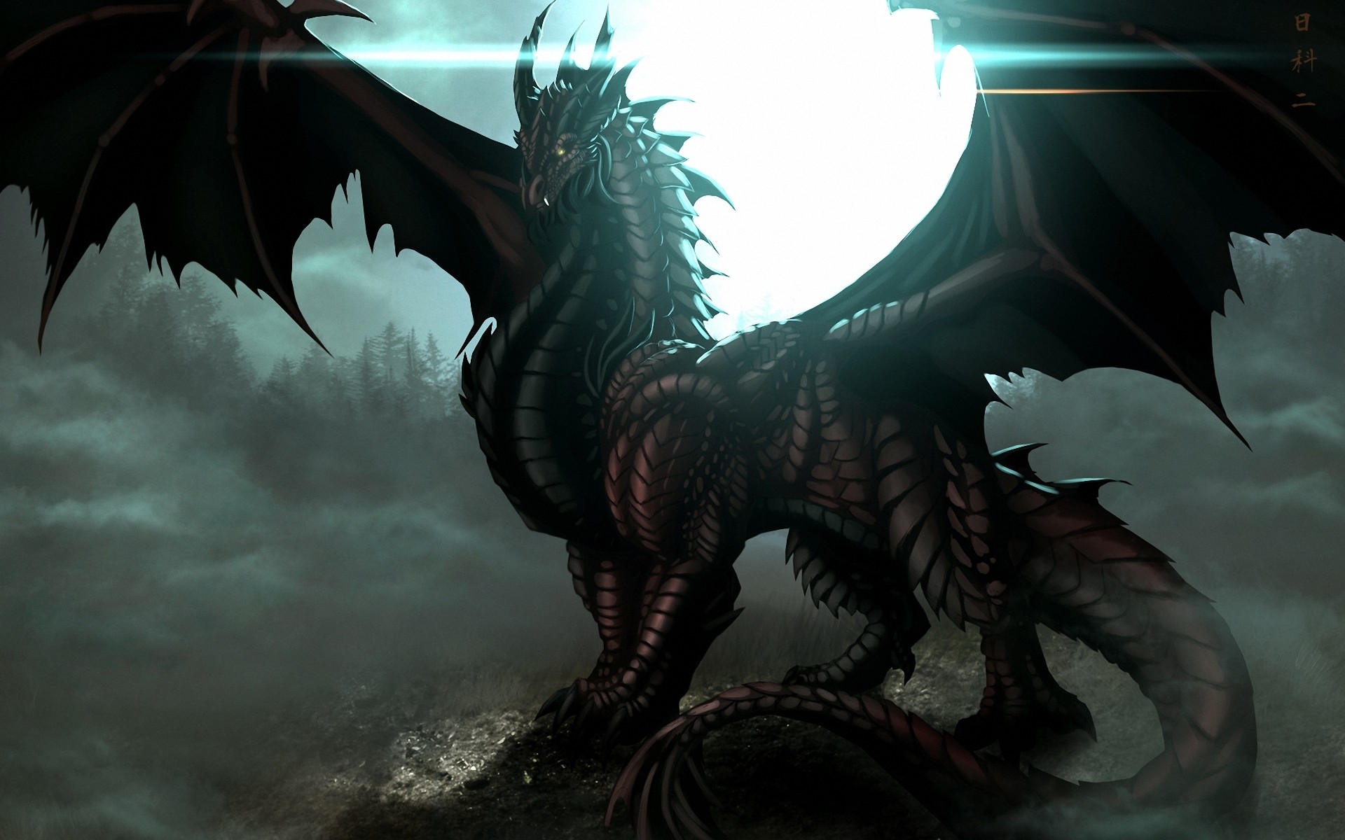 dark dragon wallpapers